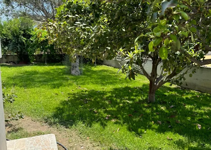 Fotis House