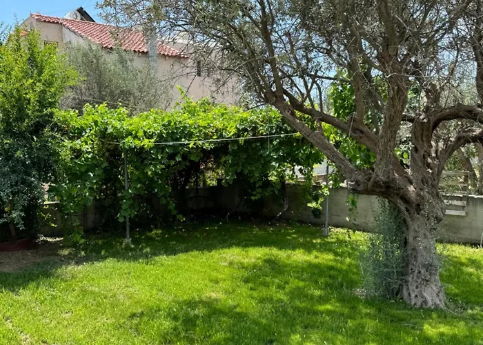 Fotis House
