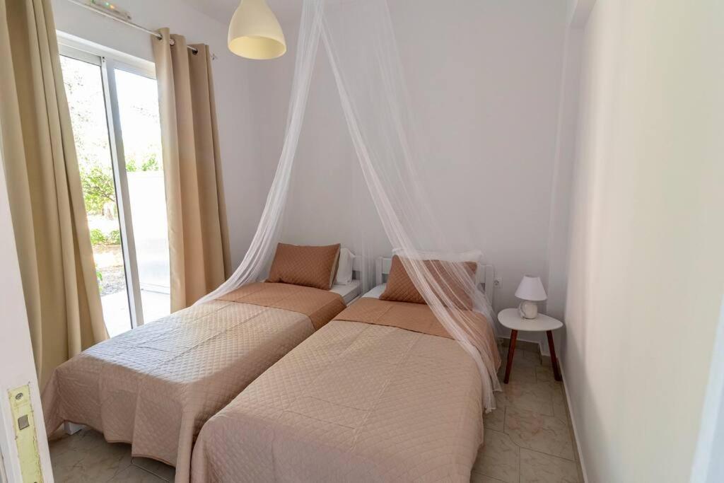 Apartment Fotis House