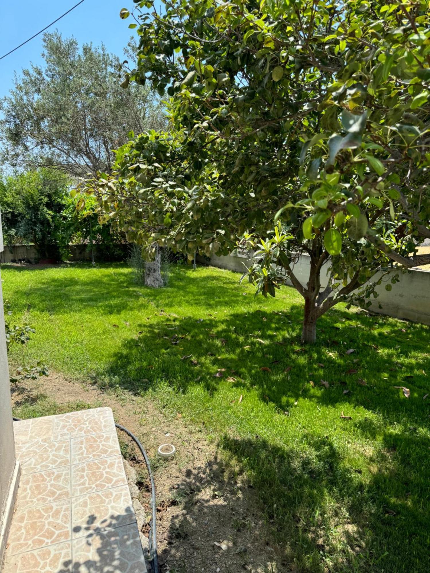 Fotis House * Afantou
