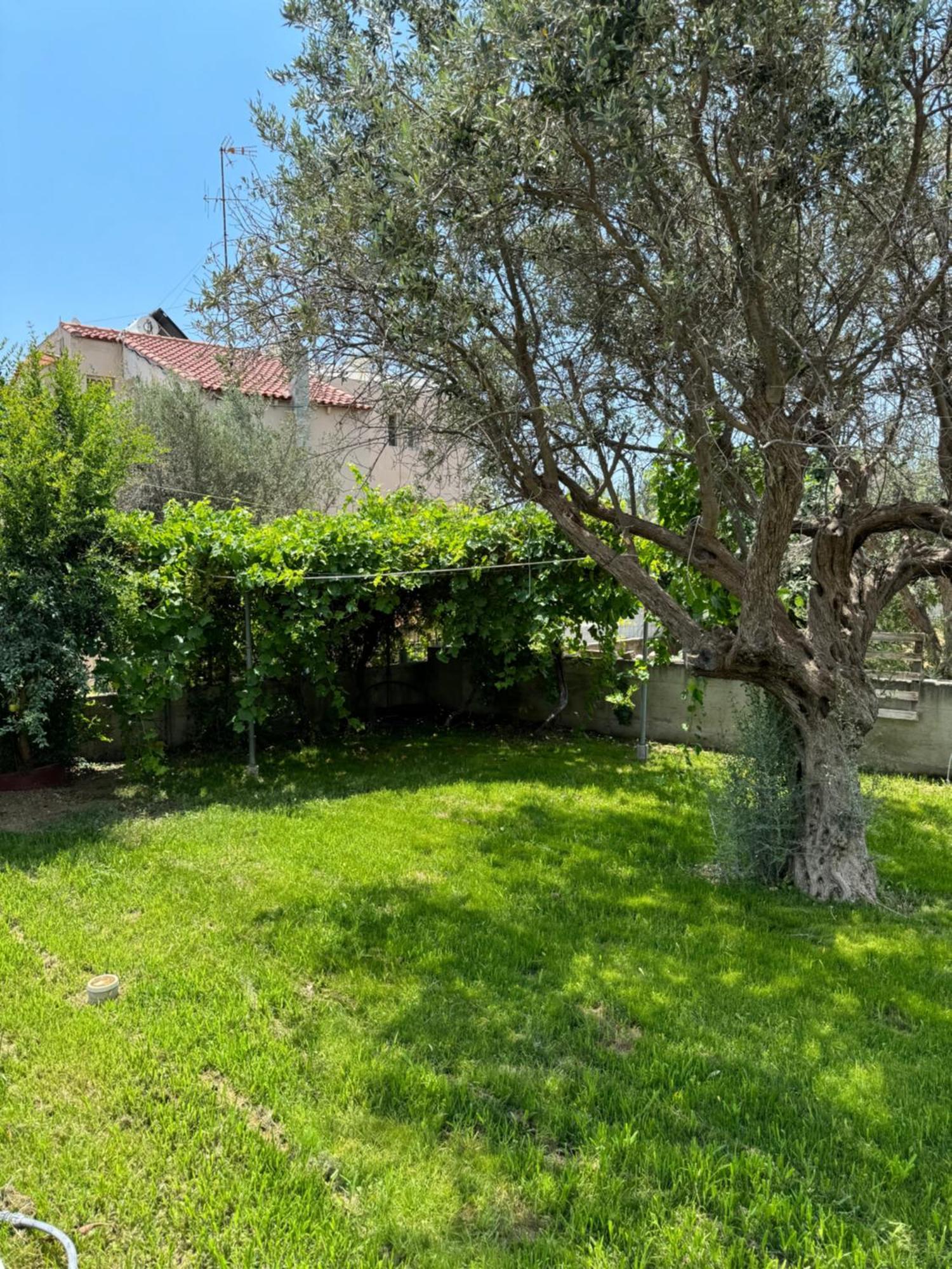 Apartment Fotis House